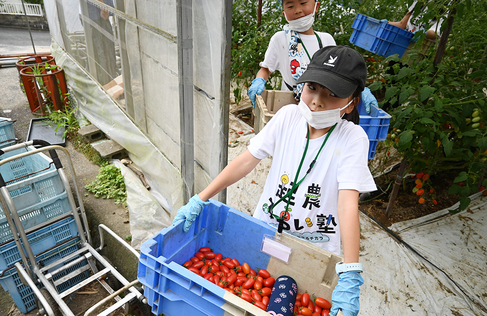 「第3回 生産現場訪問授業」ミニトマトの農場での体験と農業ビジネスを学びました！