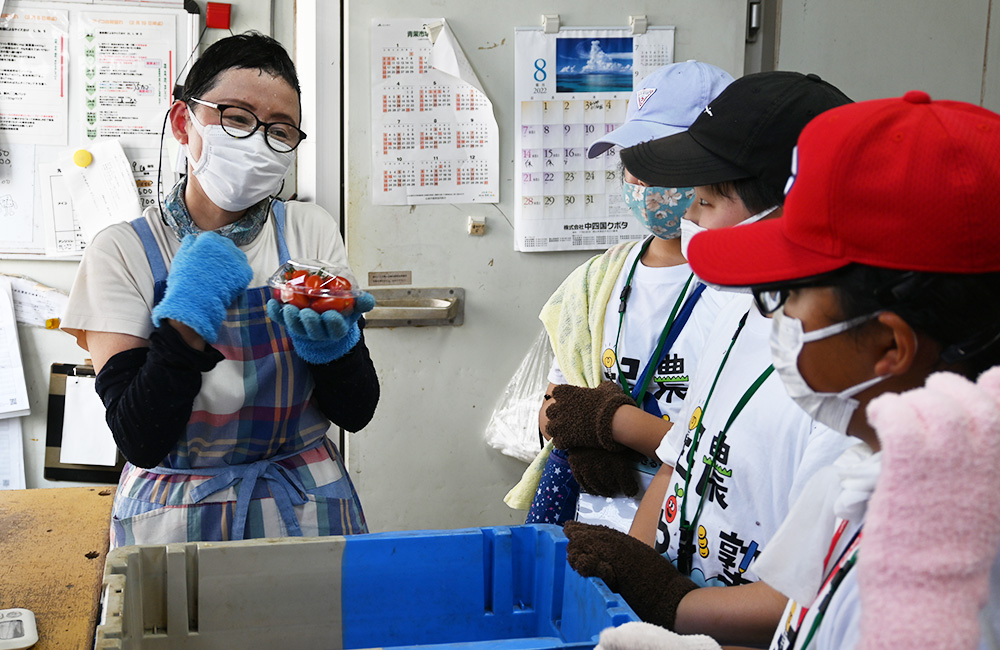 「第3回 生産現場訪問授業」ミニトマトの農場での体験と農業ビジネスを学びました！